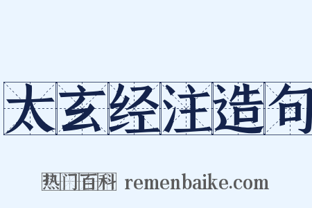 太玄经注造句是什么意思的图片